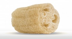 TROPICAL BUCHA BANHO COM 12 UNID.